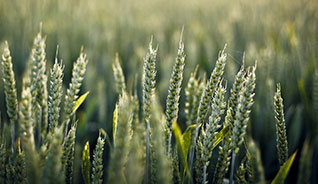 安卓ddos攻击工具