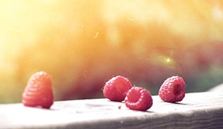 网页攻击器教程